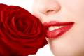 beautiful girl with red rose